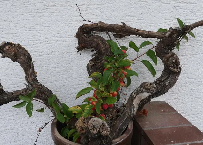 Hébergement de vacances Auszeit